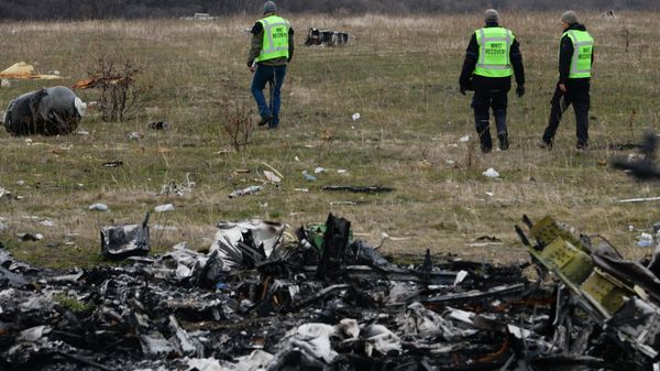 MH17 flight recovery team members examine one of the areas of the Malaysia Airlines Flight 17 plane crash in the village of Hrabove, Donetsk region, eastern Ukraine Tuesday, Nov. 11, 2014 - Sputnik International