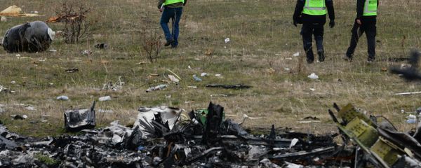 MH17 flight recovery team members examine one of the areas of the Malaysia Airlines Flight 17 plane crash in the village of Hrabove, Donetsk region, eastern Ukraine Tuesday, Nov. 11, 2014 MH17 flight recovery team members examine one of the areas of the Malaysia Airlines Flight 17 plane crash in the village of Hrabove, Donetsk region, eastern Ukraine Tuesday, Nov. 11, 2014 - Sputnik International