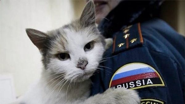 Tough Guys on Instagram: Russian Emergencies Ministry Posts Day-to-Day Pics - Sputnik International
