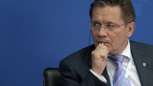 Deputy Minister of Economic Development Alexei Likhachyov Deputy Minister of Economic Development Alexei Likhachyov - Sputnik International