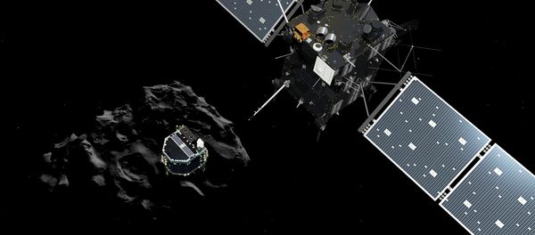 Touchdown! Rosetta Mission Philae Lands on Comet Touchdown! Rosetta Mission Philae Lands on Comet - Sputnik International