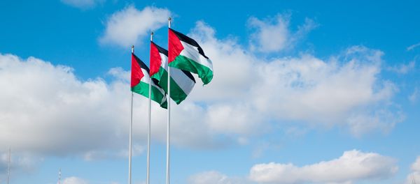 Spain could recognize Palestine as a sovereign state if it facilitated negotiations between Israel and Palestine - Sputnik International