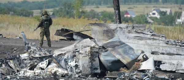 OSCE employees and experts work at Malaysia Airlines Boeing 777 crash site 51 items OSCE employees and experts work at Malaysia Airlines Boeing 777 crash site 51 items - Sputnik International