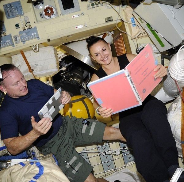Selfies From Outer Space: Everyday Life of Cosmonauts in Pictures - Sputnik International