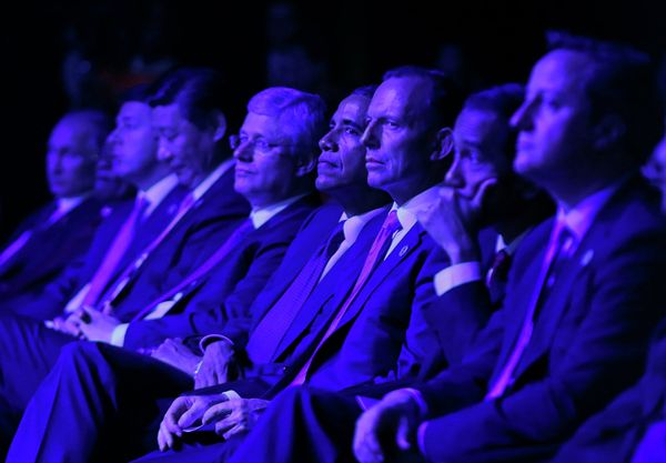 G20 Summit in Brisbane: Koala Diplomacy in Pictures - Sputnik International