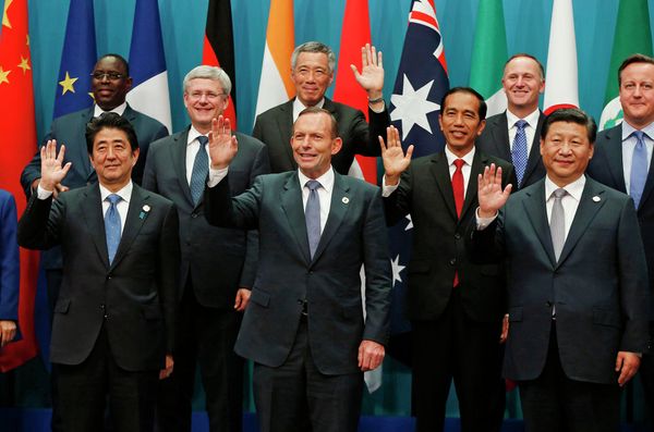 G20 Summit in Brisbane: Koala Diplomacy in Pictures - Sputnik International