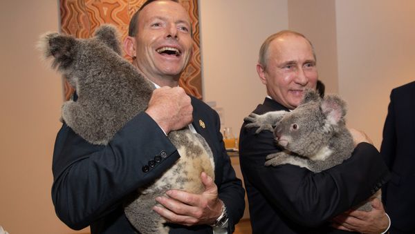 G20 Summit in Brisbane: Koala Diplomacy in Pictures - Sputnik International
