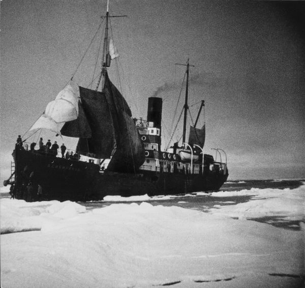 The Arctic Exhibition at the Multimedia Art Museum, Moscow The Arctic Exhibition at the Multimedia Art Museum, Moscow - Sputnik International