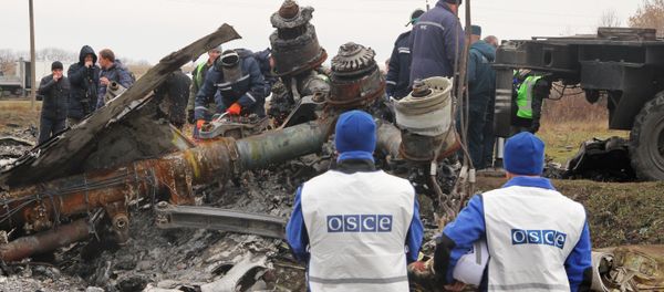 Dutch experts begin collecting debris from MH17 crash site in eastern Ukraine Dutch experts begin collecting debris from MH17 crash site in eastern Ukraine - Sputnik International