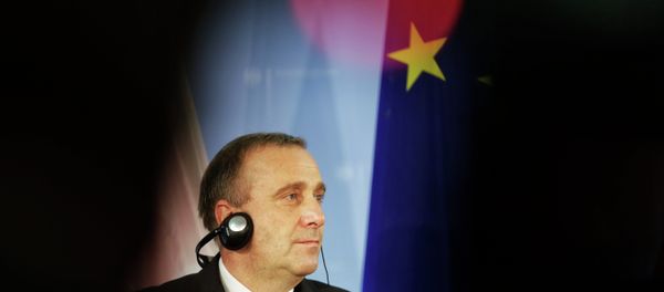 Poland's Foreign Minister Grzegorz Schetyna Poland's Foreign Minister Grzegorz Schetyna - Sputnik International