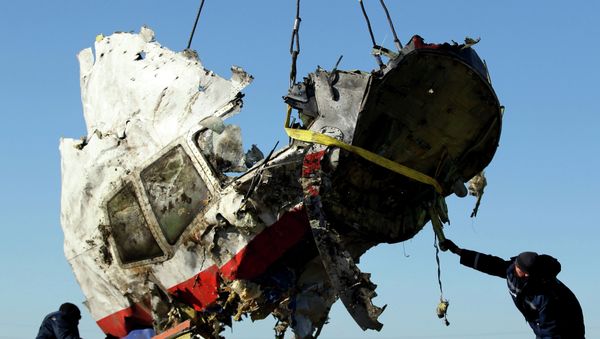 Local workers transport a piece of the Malaysia Airlines flight MH17 wreckage at the site of the plane crash near the village of Hrabove (Grabovo) in Donetsk region, eastern Ukraine November 20, 2014 Local workers transport a piece of the Malaysia Airlines flight MH17 wreckage at the site of the plane crash near the village of Hrabove (Grabovo) in Donetsk region, eastern Ukraine November 20, 2014 - Sputnik International