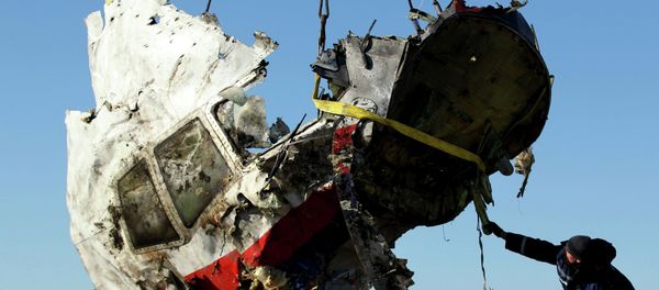 Local workers transport a piece of the Malaysia Airlines flight MH17 wreckage at the site of the plane crash near the village of Hrabove (Grabovo) in Donetsk region, eastern Ukraine November 20, 2014 Local workers transport a piece of the Malaysia Airlines flight MH17 wreckage at the site of the plane crash near the village of Hrabove (Grabovo) in Donetsk region, eastern Ukraine November 20, 2014 - Sputnik International