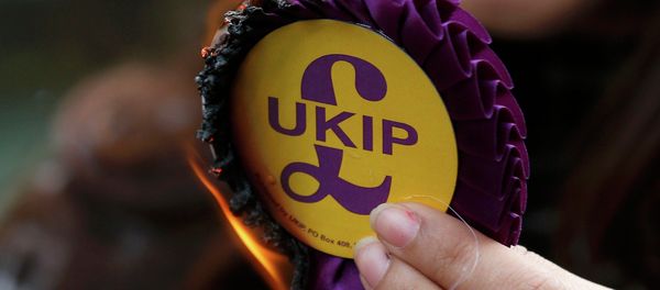 United Kingdom Independence Party (UKIP) rosette - Sputnik International