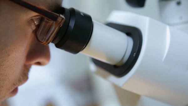 Stem Cell Research: Hurdles and Applications - Sputnik International