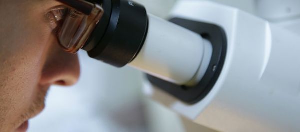 Stem Cell Research: Hurdles and Applications Stem Cell Research: Hurdles and Applications - Sputnik International