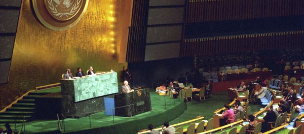 The UN General Assembly has adopted the Right to Privacy in the Digital Age resolution, following the whistleblower Edward Snowden's revelations about US government surveillance programs. - Sputnik International