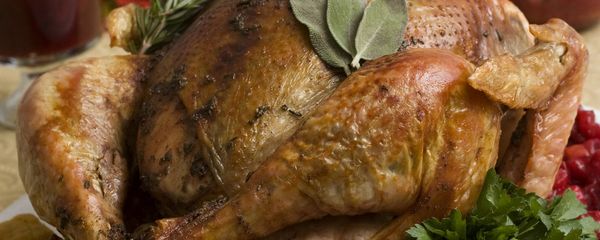 Thanksgiving turkey. (File) Thanksgiving turkey. (File) - Sputnik International