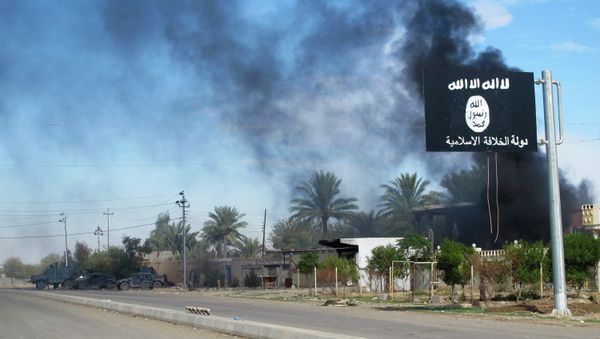 Number of Western women leaving to marry Islamist fighters increasing: official - Sputnik International