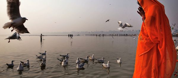 The Hindu prays on the bank of Ganges in Allahabad, India The Hindu prays on the bank of Ganges in Allahabad, India - Sputnik International