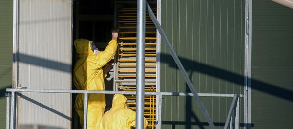 Experts wearing protection suits examine trays used to transport chicks at a poultry farm, where a highly contagious strain of bird flu - Sputnik International