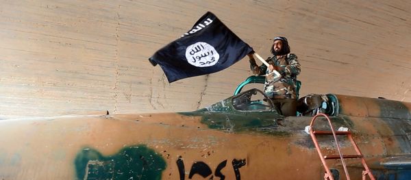 Fighter of the Islamic State group waving their flag from inside a captured government fighter jet following the battle for the Tabqa air base, in Raqqa, Syria Fighter of the Islamic State group waving their flag from inside a captured government fighter jet following the battle for the Tabqa air base, in Raqqa, Syria - Sputnik International