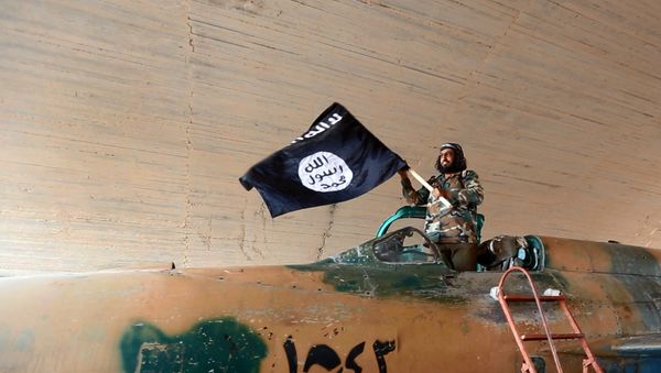 Fighter of the Islamic State group waving their flag from inside a captured government fighter jet following the battle for the Tabqa air base, in Raqqa, Syria Fighter of the Islamic State group waving their flag from inside a captured government fighter jet following the battle for the Tabqa air base, in Raqqa, Syria - Sputnik International