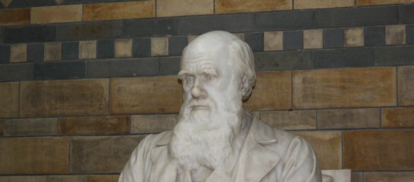 Charles Robert Darwin - Sputnik International