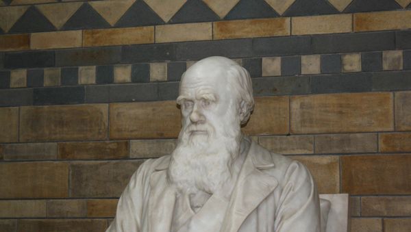 Charles Robert Darwin Charles Robert Darwin - Sputnik International