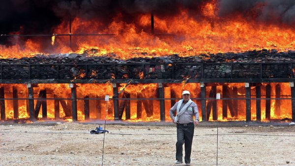 An Iranian official walks past a massive pile of drugs, burning behind him An Iranian official walks past a massive pile of drugs, burning behind him - Sputnik International