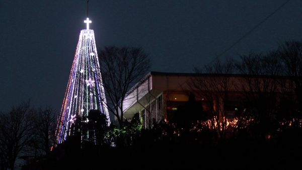 South Korean authorities have granted permission for a 9-meter-tall Christmas tree to be installed on its border with North Korea - Sputnik International
