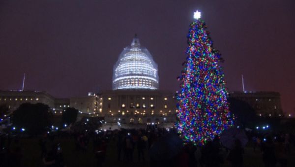 Crowds Counting Down To Christmas Tree Lighting in US Capitol - Sputnik International