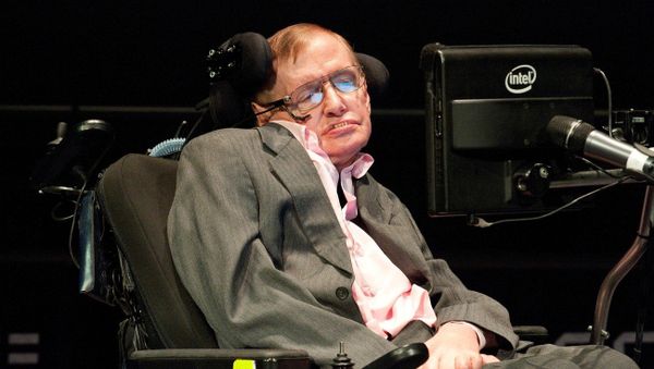 Professor Stephen Hawking Professor Stephen Hawking - Sputnik International