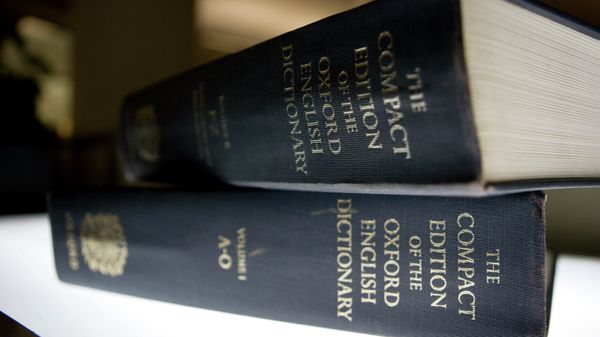 Dictionary publishers are trying to capture the zeitgeist by choosing their own words, phrases and names of the year - Sputnik International