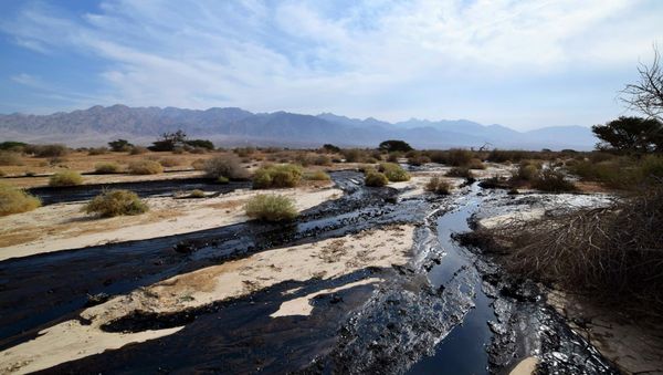 The Jerusalem Post reports that the rupture happened during maintenance work on the Eilat-Ashkelon crude oil pipeline overnight Wednesday. The Jerusalem Post reports that the rupture happened during maintenance work on the Eilat-Ashkelon crude oil pipeline overnight Wednesday. - Sputnik International