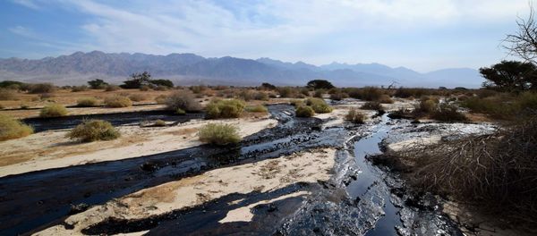 The Jerusalem Post reports that the rupture happened during maintenance work on the Eilat-Ashkelon crude oil pipeline overnight Wednesday. The Jerusalem Post reports that the rupture happened during maintenance work on the Eilat-Ashkelon crude oil pipeline overnight Wednesday. - Sputnik International