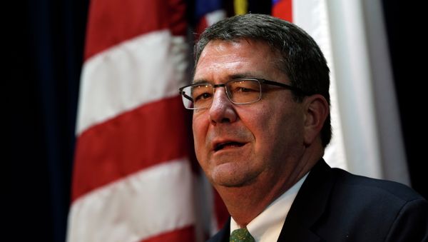 U.S. Deputy Secretary of Defense Ashton Carter - Sputnik International