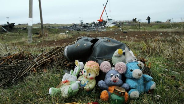 Soft toys are seen near the crash site of the Malaysia Airlines Boeing 777 plane (flight MH17) near the settlement of Grabovo in the Donetsk region November 16, 2014 Soft toys are seen near the crash site of the Malaysia Airlines Boeing 777 plane (flight MH17) near the settlement of Grabovo in the Donetsk region November 16, 2014 - Sputnik International