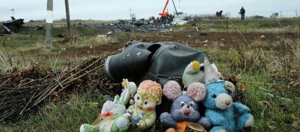 A veteran commercial airlines pilot with over thirty years flight experience says that the wreckage of Malaysia Airlines Flight 17 clearly shows that the plane was shot down by a Ukrainian fighter jet. - Sputnik International
