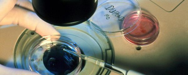 A 30-year-old woman has successfully given birth to a child using an egg she had frozen 12 years ago - Sputnik International