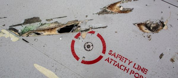 US director Oliver Stone urged not to take for granted numerous US media reports accusing Russia of its involvement in the crash of Malaysia Airlines flight MH17 US director Oliver Stone urged not to take for granted numerous US media reports accusing Russia of its involvement in the crash of Malaysia Airlines flight MH17 - Sputnik International