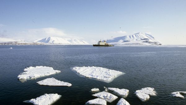 Bering Sea - Sputnik International