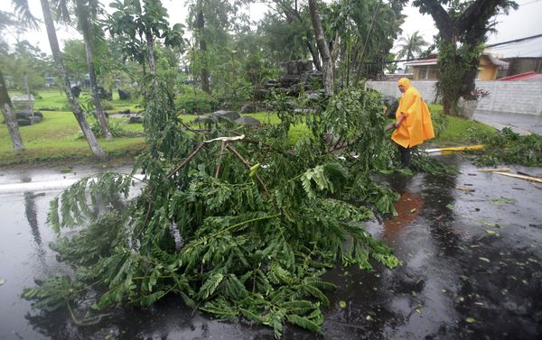 A policeman carries a tree branch that fell due to strong winds brought by Typhoon Hagupit in Legazpi, Albay province, eastern Philippines Sunday, Dec. 7, 2014 A policeman carries a tree branch that fell due to strong winds brought by Typhoon Hagupit in Legazpi, Albay province, eastern Philippines Sunday, Dec. 7, 2014 - Sputnik International