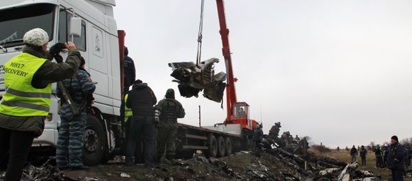 Malaysia Airlines Flight MH17 Malaysia Airlines Flight MH17 - Sputnik International