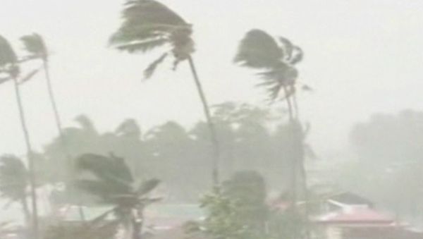 Houses destroyed, trees felled by Typhoon Hagupit in Philippines - Sputnik International