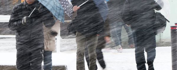 People walk against blowing snow in Tokyo People walk against blowing snow in Tokyo - Sputnik International