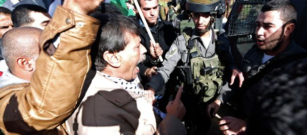 Palestinian minister Ziad Abu Ein (C) argues with Israeli border policemen during a protest near the West Bank city of Ramallah December 10, 2014. - Sputnik International