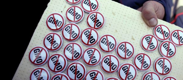 A street vendor sales badges against GMO A street vendor sales badges against GMO - Sputnik International
