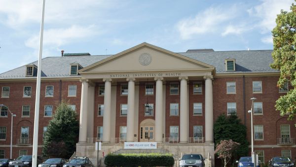 National Institutes of Health James Shannon building on the campus of NIH in Bethesda - Sputnik International