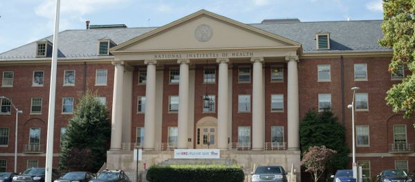 National Institutes of Health James Shannon building on the campus of NIH in Bethesda National Institutes of Health James Shannon building on the campus of NIH in Bethesda - Sputnik International