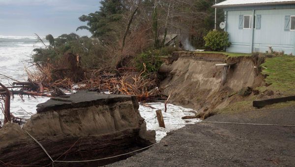 A rope does little to keep an old log, which was once located under a paved road, from being consumed by the Pacific Ocean in Washaway Beach - Sputnik International